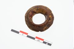 Foto von Bernsteinringperle (NHMW-PRAE-025146)